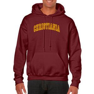 Christiania Collage Style Hoody